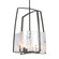 Arc Four Light Pendant in Natural Iron (39|131310-SKT-MULT-20-YR0699)