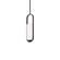 Rollins LED Mini Pendant in Black (281|PD-26316-BK)