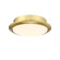 Wrap Custom LED Fan Light Kit in Brushed Satin Brass (26|LK8530BS)