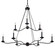Sawyer Nine Light Chandelier in Forged Iron (67|F6309-FOR)