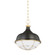 Holkham One Light Pendant in Aged Brass (70|MDS1502-AGB/DB)