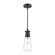 Marcel One Light Outdoor Pendant in Clear Bubble Glass/Textured Black (452|EP464001BKCB)