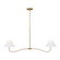 Laguna Two Light Linear Chandelier in Burnished Brass (454|CC1712BBS)