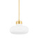 Eliana One Light Pendant in Aged Brass (428|H785701-AGB)