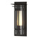Torch One Light Outdoor Wall Sconce in Coastal White (39|305996-SKT-02-ZS0654)
