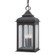 Henry Street Four Light Hanging Lantern in Textured Bronze (67|F2018-TBZ)