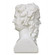 Hector Marble Bust Sculpture Sculpture in White (142|1200-0665)
