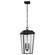 Mathus Two Light Outdoor Pendant in Olde Bronze (12|59122OZ)