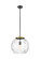Essex One Light Pendant in Black Antique Brass (405|221-1S-BAB-G1215-14)