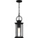 Tilmore One Light Outdoor Hanging Lantern in Matte Black (10|TLM1907MBK)
