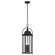 Harbor Row Four Light Outdoor Pendant in Textured Black (12|49718BKT)