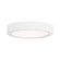 LED Flush Mount in White (51|6-3333-5-WH)