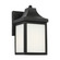 Saybrook One Light Outdoor Lantern in Textured Black (1|GLO1001TXB)