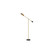 Alaric Floor Lamp in Antique Brass (314|PFC15)