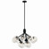 Silvarious 12 Light Chandelier Convertible in Black (12|52701BK)