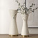 Ridgeline Vases, S/2 in Pristine White (52|18142)