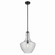 Everly One Light Pendant in Black (12|42046BKCS)