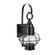 Classic Onion One Light Outdoor Wall Sconce in Black (45|1513-BL-CL)