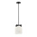 Scoop One Light Pendant in Black (16|21230MRBK)