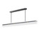 Spectre LED Linear Pendant in Black / Natural Aged Brass (16|21195CRBKNAB)