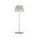 Dario LED Table Lamp in Moonstone Gray (347|TL65614-MN)