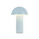 Setas LED Table Lamp in Sky Blue (347|TL65210-SY)