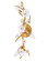 Azalea LED Wall Sconce in Distressed Brass (138|FR41630DA)
