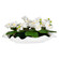 Opulence Orchid Centerpiece With Bowl in Matte White (52|60234)