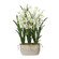 Ariana Orchid Planter in Cream (52|60227)