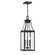 Emery Three Light Outdoor Hanging Lantern in Matte Black (51|5-608-BK)