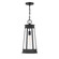 Payne One Light Outdoor Hanging Lantern in Matte Black (51|5-208-BK)