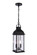 Bent Tree Two Light Outdoor Pendant in Midnight (46|ZA7211-MN)
