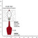 Emma One Light Accent Lamp in Ruby Red Glazed Ceramic w/Polished Nickel/a Lucite (165|RR35)