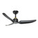 Hugo 42''Ceiling Fan in Brushed Gold/Matte Black (347|CF92942-BG/MB)