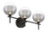 IISSA IISSA-VAN-3LT-BK-SK in Black (40|48915-021)