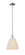 Arcadia One Light Mini Pendant in Polished Nickel (405|716-1S-PN-NBD-9-NAT)