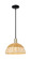 Arcadia One Light Mini Pendant in Black Antique Brass (405|716-1S-BAB-NBD2-12-NAT)