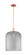 Arcadia One Light Mini Pendant in Antique Copper (405|716-1S-AC-G559-12SM)