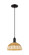Arcadia One Light Mini Pendant in Matte Black (405|716-1P-BK-NBD2-9-NAT)