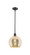 Ballston One Light Mini Pendant in Oil Rubbed Bronze (405|516-1S-OB-G128-10)
