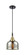 Caden One Light Pendant in Black Antique Brass (405|447-1P-BAB-G78)