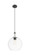 Ballston One Light Mini Pendant in Matte Black (405|415-1PR-BK-G122-12)
