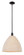 Arcadia One Light Pendant in Matte Black (405|716-1S-BK-NBD-16-NAT)