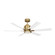 Flera Smart 52 LED 52''Ceiling Fan in Burnished Brass (1|6FLSM52BBSD)