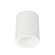 Zoron LED Flush Mount in Arc White (34|C4RL-FCS-PWT)