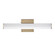 Rail 5CCT LED Bath Vanity in Natural Aged Brass (16|52150NAB)