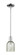 Arcadia One Light Mini Pendant in Polished Chrome (405|716-1S-PC-G259)
