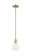 Arcadia One Light Mini Pendant in Champagne Bronze (405|716-1S-CB-G121-6)
