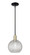 Arcadia One Light Mini Pendant in Black Antique Brass (405|716-1S-BAB-G122C-8CL)