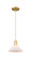 Arcadia One Light Mini Pendant in Satin Gold (405|716-1P-SG-G131)